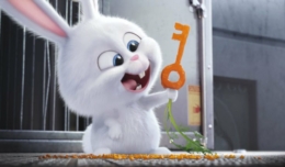 Kaninchen Snowball formt einen Schlüssel aus einer Karotte in Pets