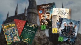 Bücher und DVD-Covers zum Harry Potter Universum