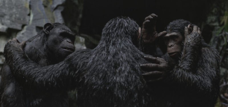 Caesar (Andy Serkis) und seine Anhänger umarmen sich in Planet der Affen Survival