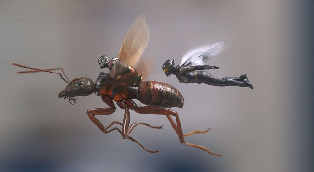 Ant-Man reitet auf einer fliegenden Ameise neben ihm fliegt the Wasp im Film Ant-Man and the Wasp